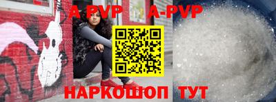 хмурый Кингисепп