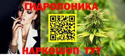 хмурый Кингисепп