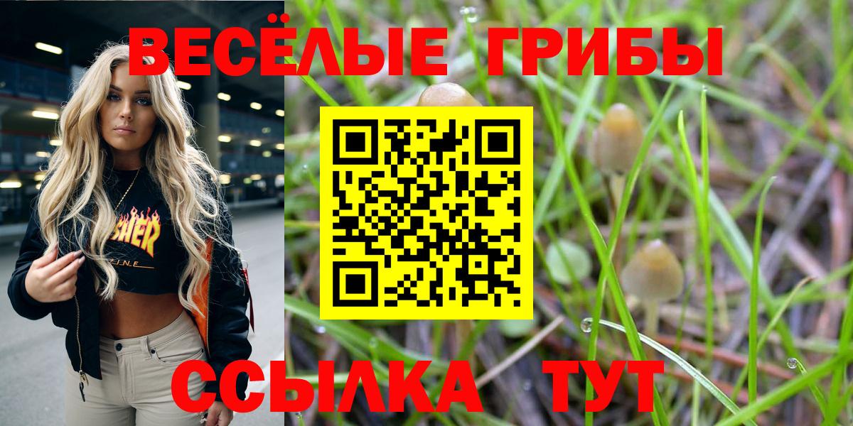Галлюциногенные грибы мицелий Краснодар